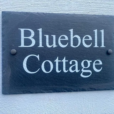 Bluebell * Selby